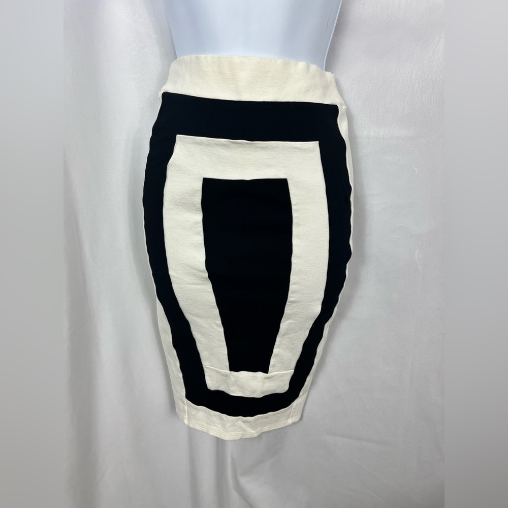 Fashion Nova Mini Skirt